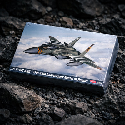 Academy F-15C ANG 75th Anniv. Medal of Honor 1/72 Scale #12582  (Factory Sealed)