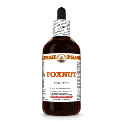 Foxnut / Qian Shi (Euryale Ferox) Dried Seed Liquid Herbal Extract
