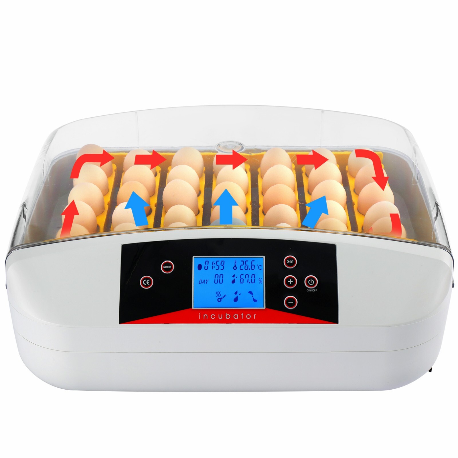 Flächenbrüter Für Reptilien - Abschließbar Für Sichere Zucht