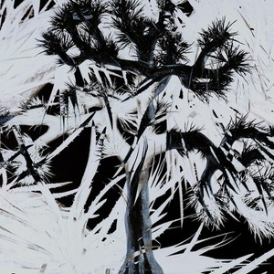 Plastic Tree　DVD　セット Plastic Tree CD | eBay