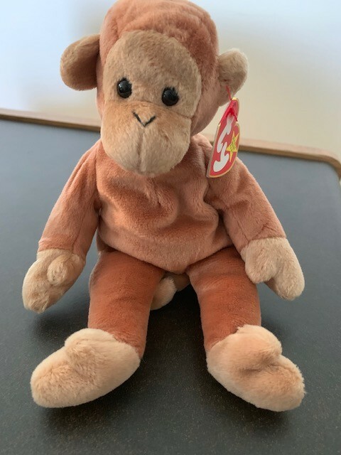 humphrey the camel ty