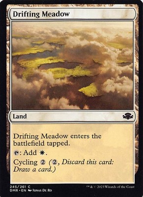 Drifting Meadow DMR 245 English NM - MTG
