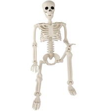Toolterritary 36" 3ft Posable Halloween Human Skeleton Full Body Decoration