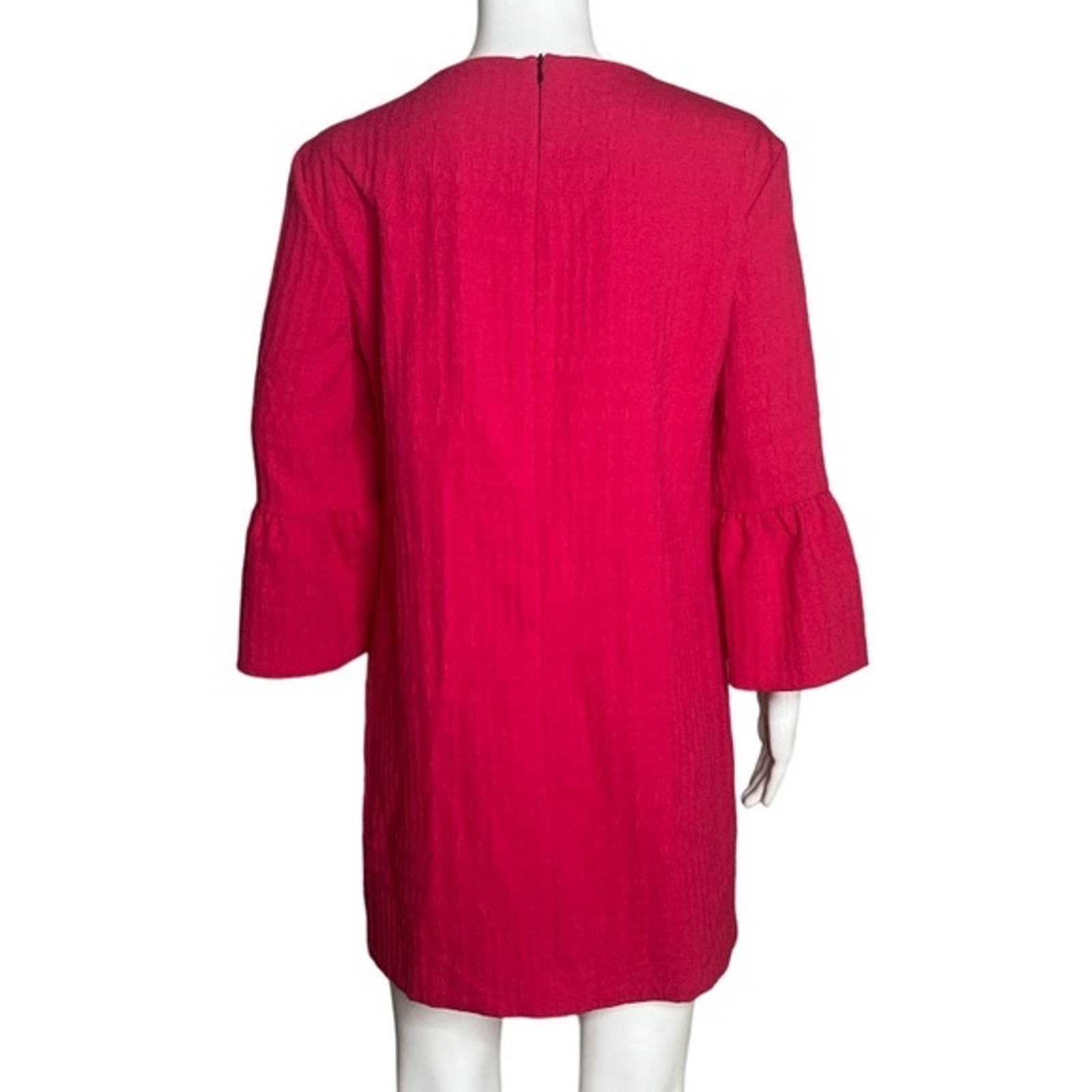 Zara Woman Mini Dress Hot Pink Ruffle Sleeves 3/4 Sle… Gem