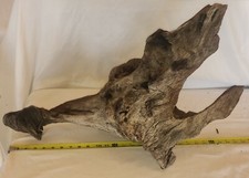 Large Natural Driftwood Aquarium Reptile Taxidermy Terrarium Free Shipping