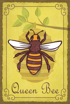 mrdeco Metall Schild 30x40cm Hinweis Queen Bee Biene Honig Imkerei Blechschild