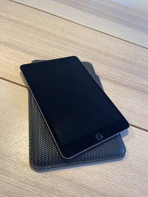 iPad Mini 5 64GB Cellular Wifi