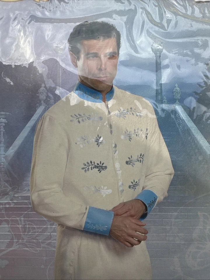 白马王子迪士尼灰姑娘花式万圣节豪华成人XXL服装 — 第 3/4 张图片