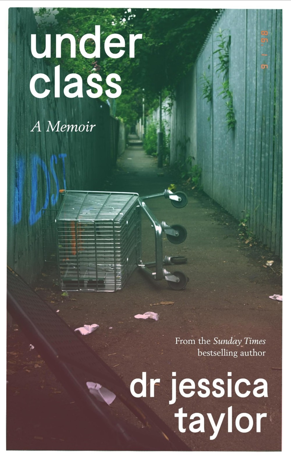 Underclass: A Memoir,Taylor, Dr Jessica Dr Jessica Taylor,- 9781