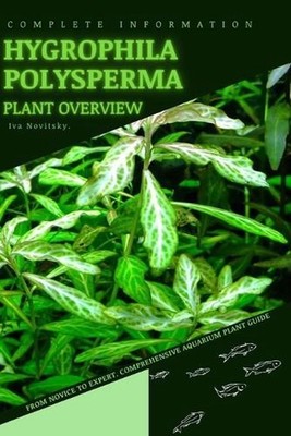 Hygrophila Polysperma: From Novice to Expert. Comprehensive Aquarium Plants Guid