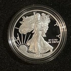 2007 American Silver Eagle 1 oz 99.9% Fine Silver Uncirculated Flawless Gem