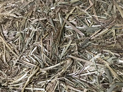 Premium Timothy Rye Hay Bale 10.5Kg for Rabbits Horses Small Animals First Cut