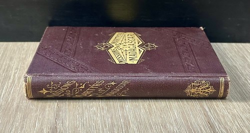 Missions and Martyrs in Madagascar 1864 HC / Antique - Picture 5 of 10