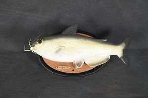 Poisson-chat cool Gemmy chantant parlant poisson animé TEL QUEL POUR