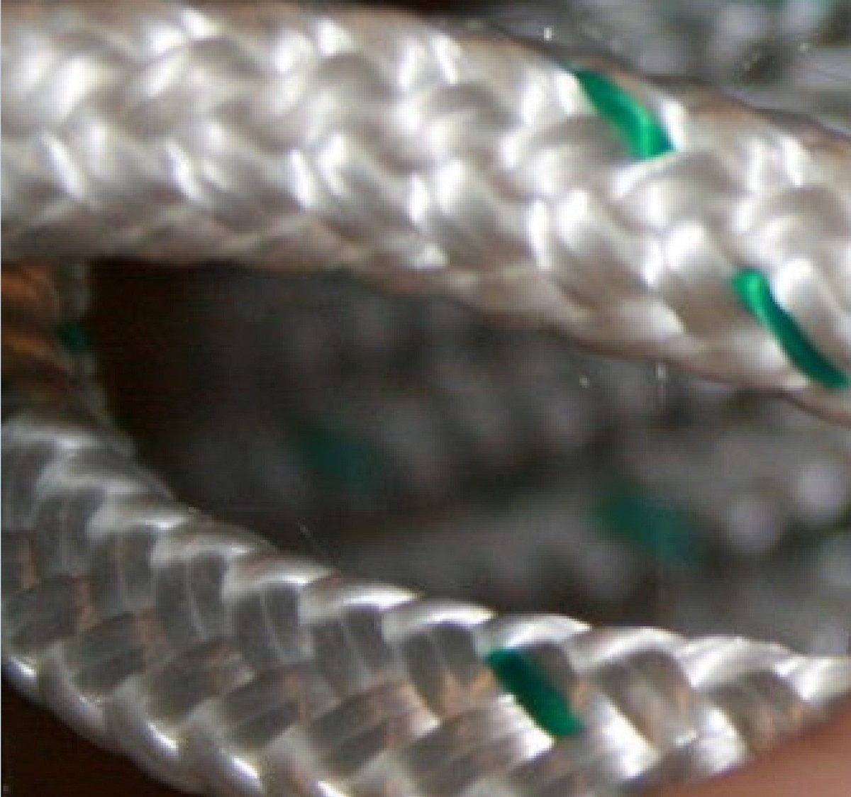 Corda Per Palestra Corda Da Arrampicata Nylon 200 Piedi 7/16 - Foto 13