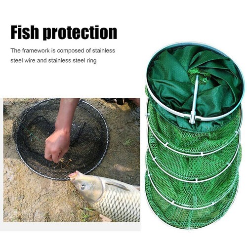 Stainless Steel Fish Net Fish Trap Fish Fishing Cage Basket Carp Fishing Tools - Picture 10 of 18
