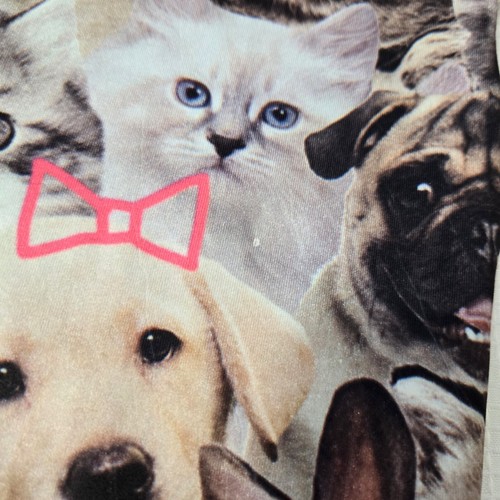 SO Girls Leggings Sz L 14/16 Pants Puppy Kitty Faces Bows Dog Cat Pets - Picture 8 of 8