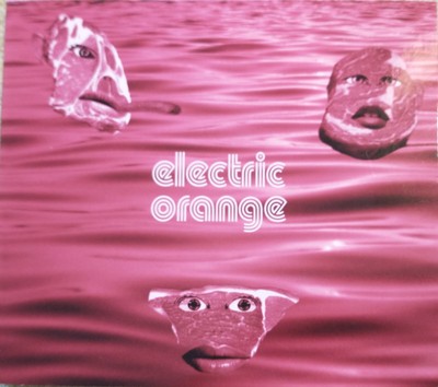 Electric Orange - Fleischwerk    -     CD 2008    -    sehr  guter Zustand
