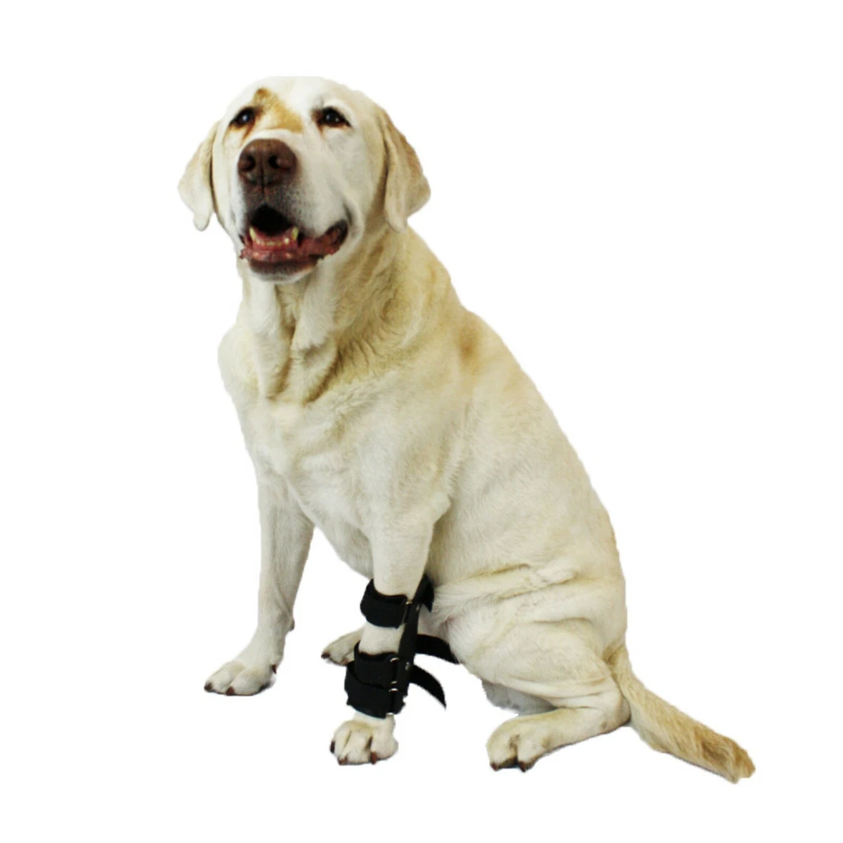 Bootie splint top for dogs