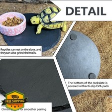 Reptile Basking Platform Slate Rock Dish Tortoise Lizard Gecko