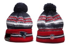 New England Patriots Collecting and Fan Guide 44