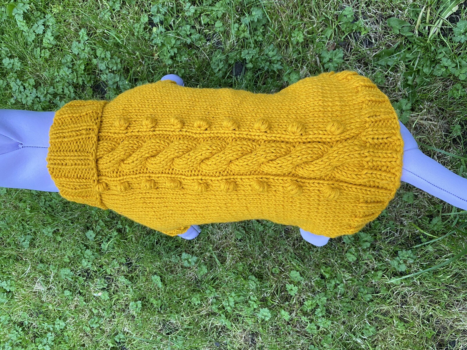 Design French Bulldog M Frenchie Jumper 
