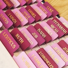 Laminated Bible Tabs, Gold Foil Embossed Lettering Chapter Index Pink