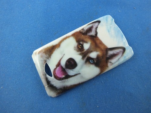 Front Back Cover Tastatur Matte Nokia 6100 Gehäuse Handy Schale Wolf Facade case - 第 6/10 張圖片