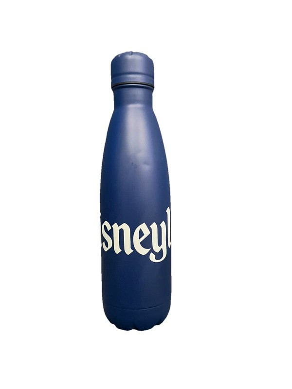 Disneyland Metal Water Bottle