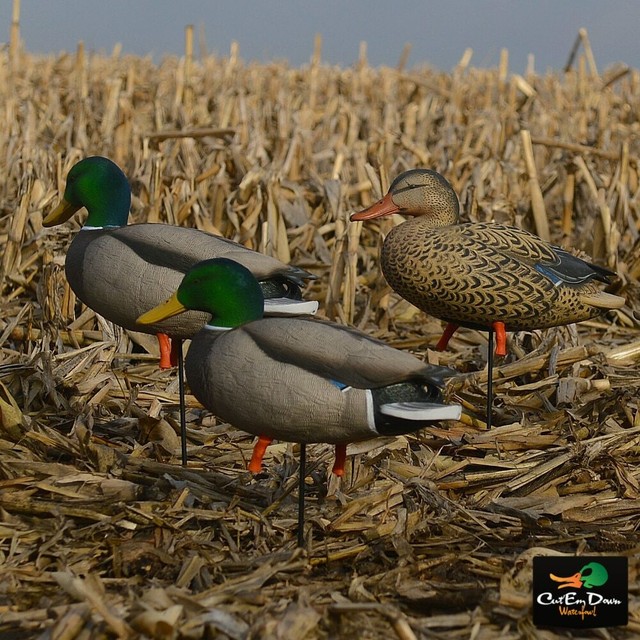 AVERY GREENHEAD GEAR GHG PG FULL BODY MALLARD DECOYS HARVESTER PACK