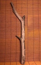 Beautiful 32" DRIFTWOOD Piece Terrarium Taxidermy Aquarium Art Reptile DECOR
