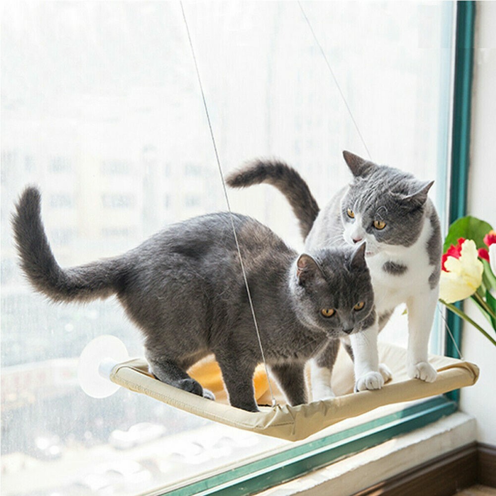 heart to tail window mounted cat bed