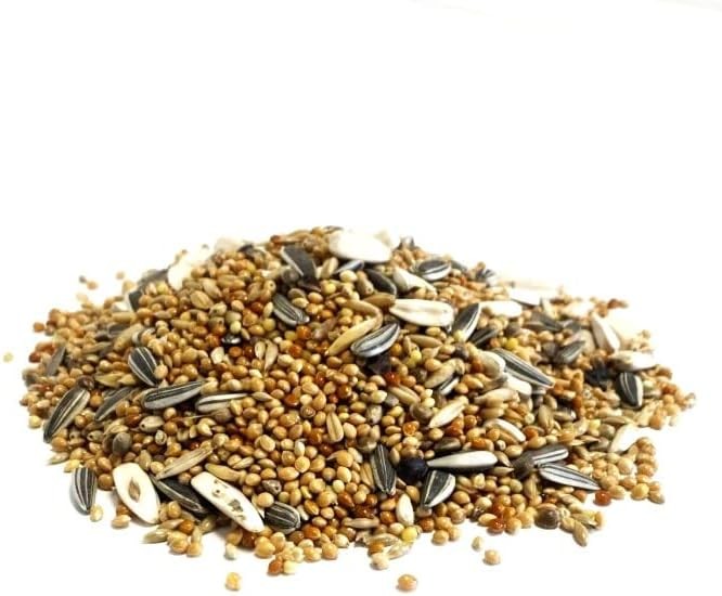 200g COCKATIEL and PARAKEET SEED MIXED CAGE BIRD FOOD SLW