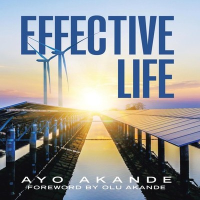 Effective Life Ayo Akande Hardcover Author Solutions Inc