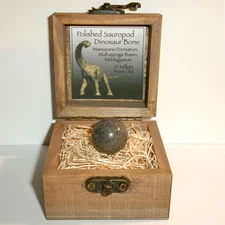 Polished Sauropod Dinosaur Bone Sphere Fossil from Cretaceous Madagascar w/COA