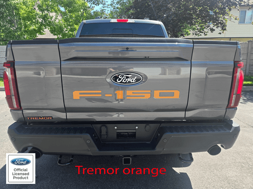 2021-2025 Ford F-150 tailgate letters F150 vinyl inserts decals stickers - Picture 7 of 10