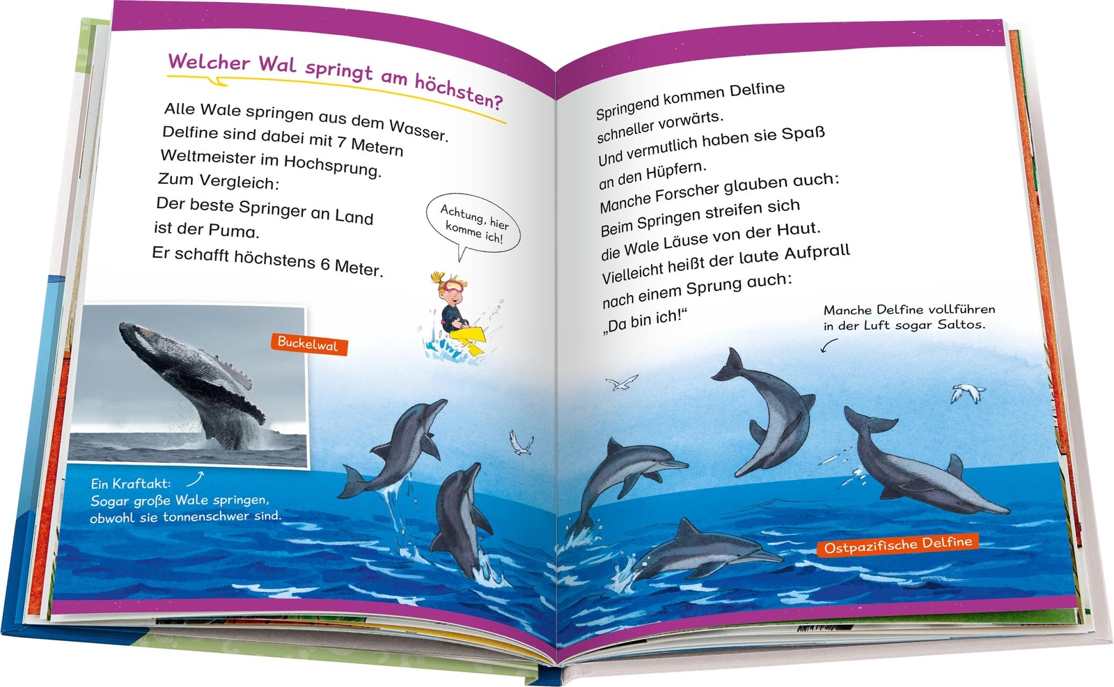 Thumbnail - Wieso? Weshalb? Warum? Erstleser: Wale Und Delfine (band 3) Sandra Noa