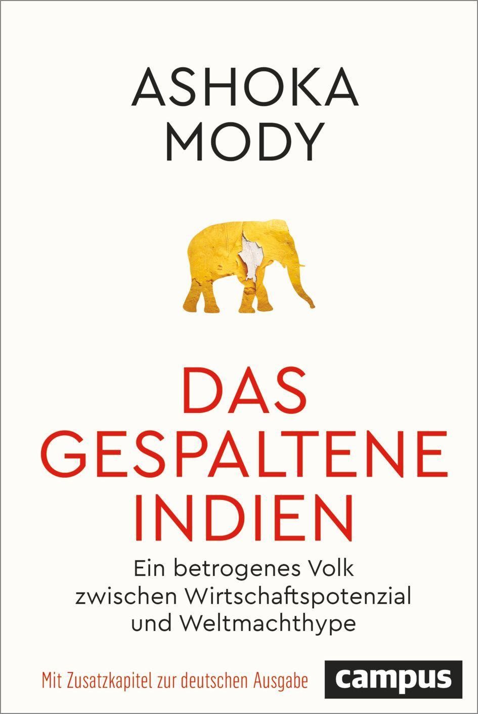 Das gespaltene Indien Ashoka Mody