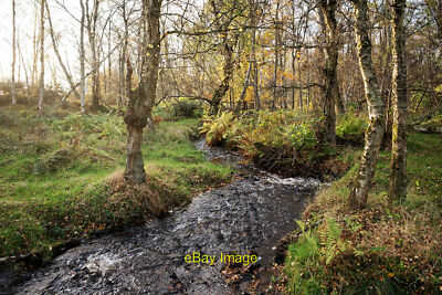 Foto 6x4 Ryefield Burn in Ryfield Wood, Black Isle Dunston im Pat c2021