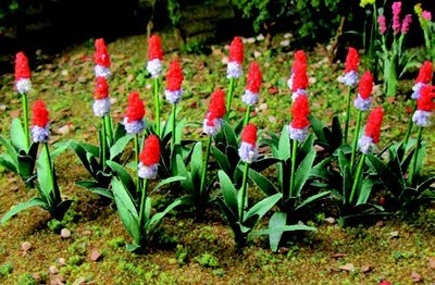 Ho Primula Vialli