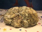 Brecciated Jasper Agate, Solid Rough Lapidary Specimen, 6 LBS, 6 OZ, #R334 — photo 8