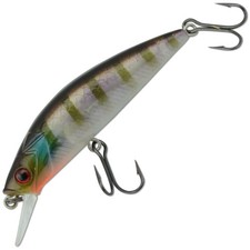 Hurricane Kaplunk Fishing Lure