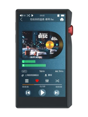 Premium DSD256 24 Bit Musikplayer 4,5-Zoll Display, Dual Bluetooth und USB DAC
