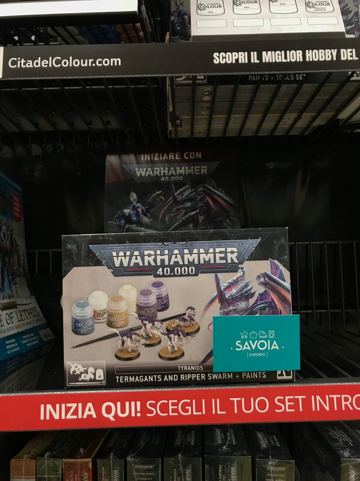 60-13 Warhammer 40K Tyranids Termagants and Ripper Swarm + Paints