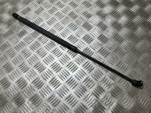 Tailgate strut