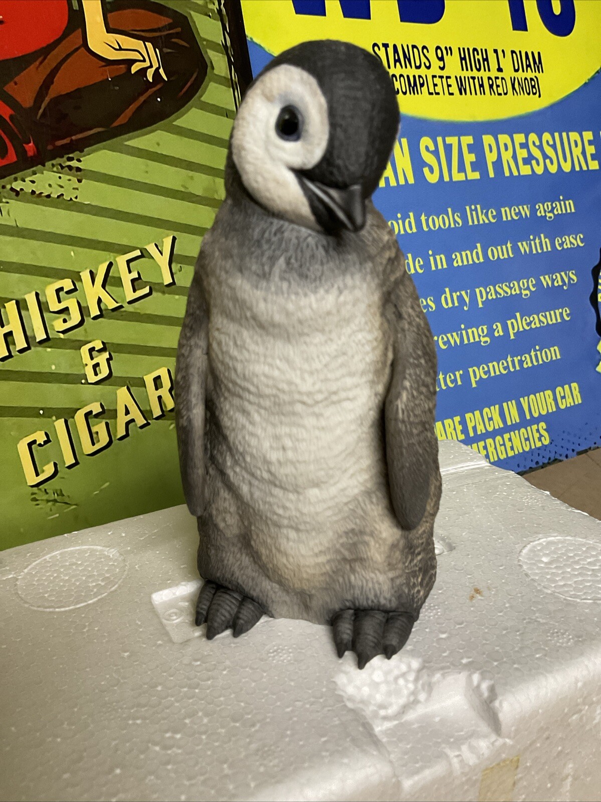 Picture 2 of 11