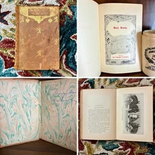 Antique Copy Of Black Beauty BW Images Horses