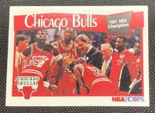 1991-92 Hoops Chicago Bulls #277