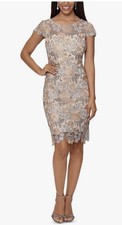 Xscape Short Embroidered Lace V-Back Dress Rose Gold Sz 10