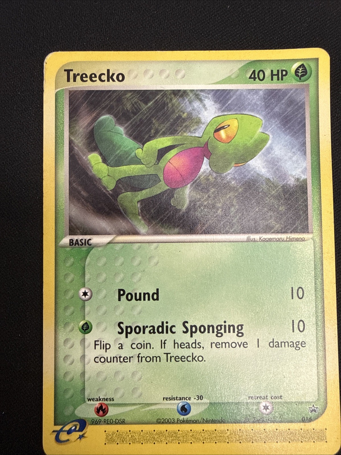 Pokemon Card - Treecko Nintendo Black Star Promos 016 Promo